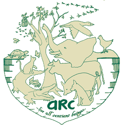 ARC for All Beings