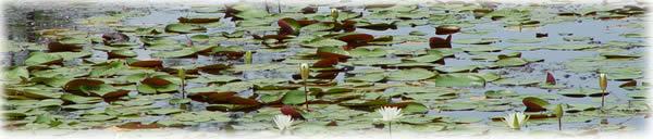Bon Secour National Wildlife Refuge