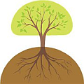 Natural Network