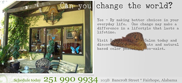 B-Butterfly, the Salon