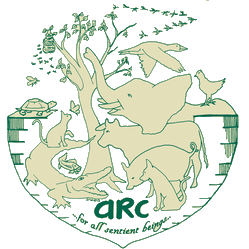 ARC for All Beings ARC for All Beings