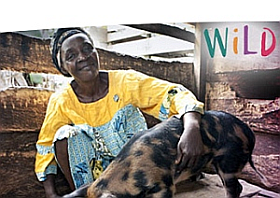 Heifer International