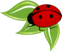 Household Termite & Pest Control